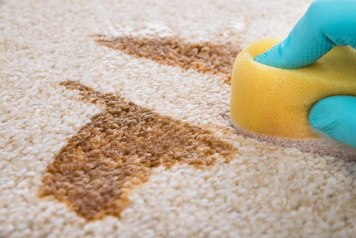 how-to-spot-clean-your-carpet