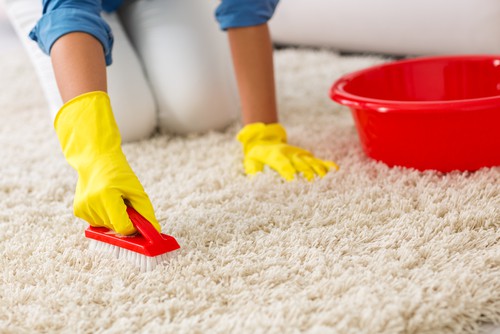 How To Clean Carpet Myself Efficiently?