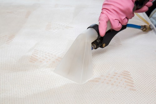 Professional vs DIY Upholstery Cleaning What's Best