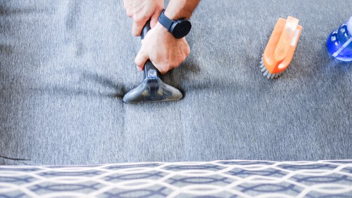 Professional vs DIY Upholstery Cleaning What's Best