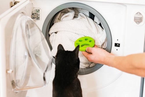 Laundry for Pet Owners (Managing Fur, Odor, and Stains)